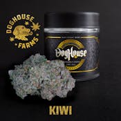 Bulk Flower | Doghouse | Kiwi