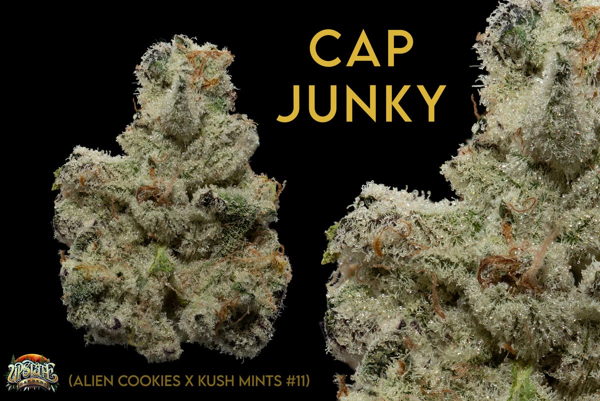 Flower: Cap Junky