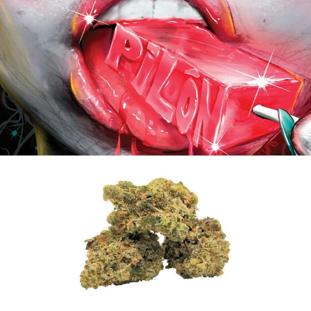 Pilon | Buds