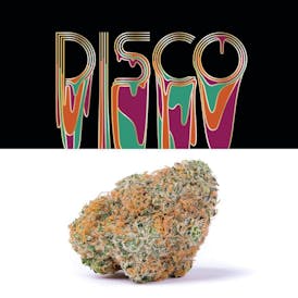 Cookies - Disco