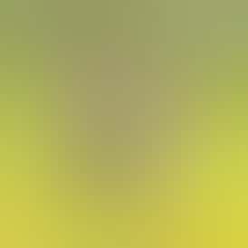 Sluggers - Infused Prerolls - 3.5g 5pk - UFOreoz