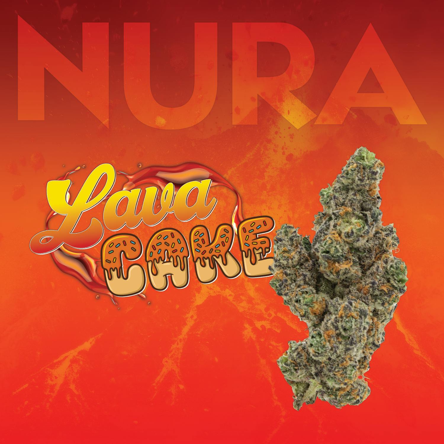 Lava Cake by Nura