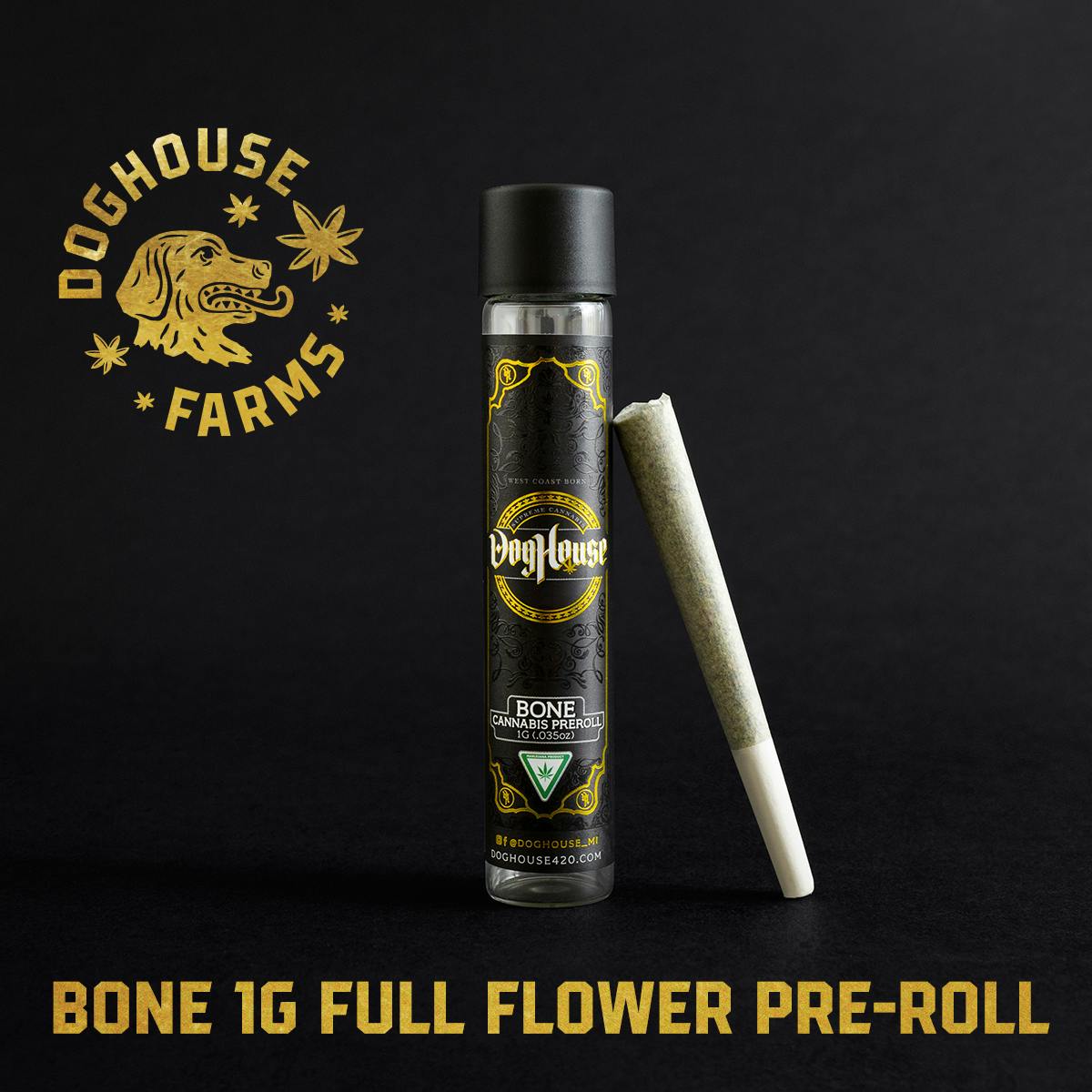 Kiwi - Bone 1g All-Flower Pre-Roll - Sativa