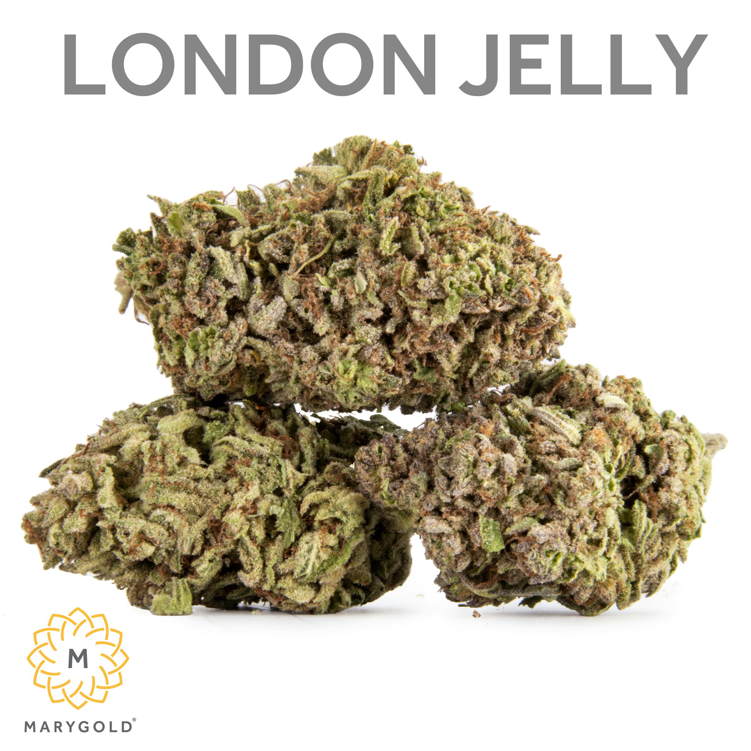 Marygold London Jelly 3.5g (Indica 30 THC) Weedmaps