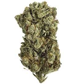 Guava Gelato - 14G Premium Flower