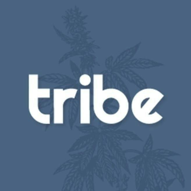 Tribe | Bigfoot Glue | 1g THCA + 1g Temple Ball | Splits Concentrate by Tribe