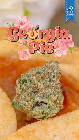 Georgia Pie