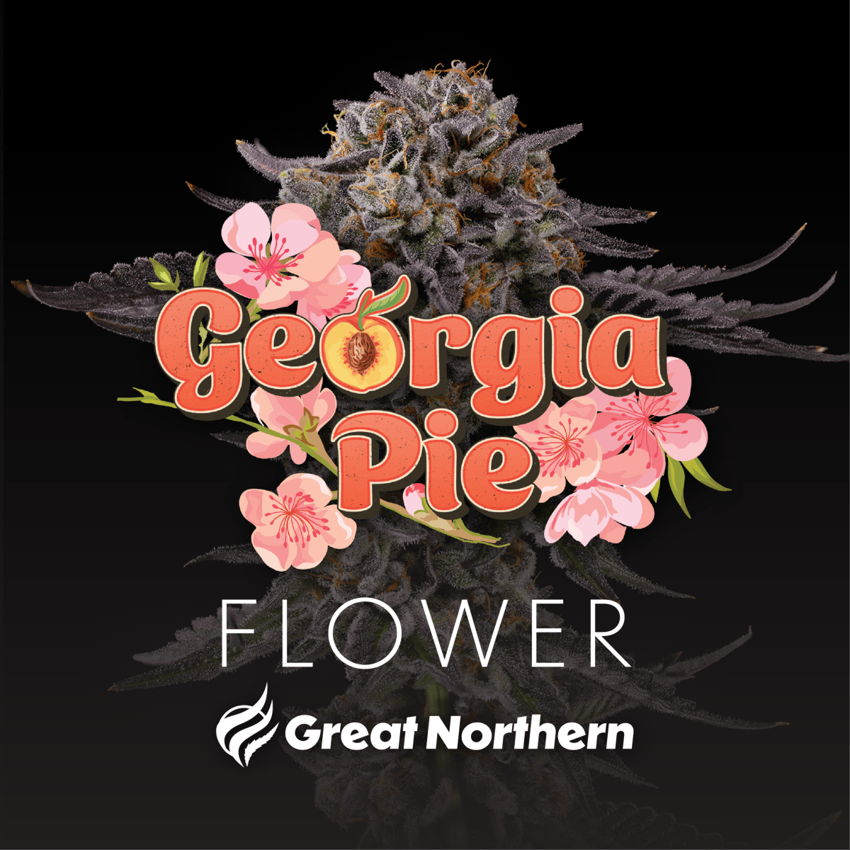 Great Northern Cannabis Georgia Pie Flower (Indica) by Great Northern Cannabis