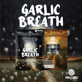Garlic Breath Pre-Pack | 3.5g