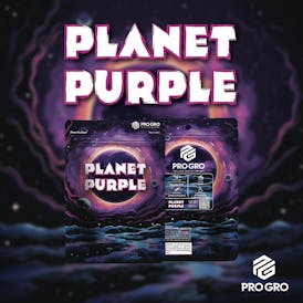 Planet Purple Pre-Pack | 3.5g