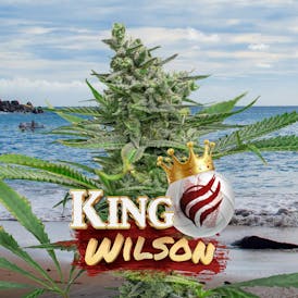 King Wilson