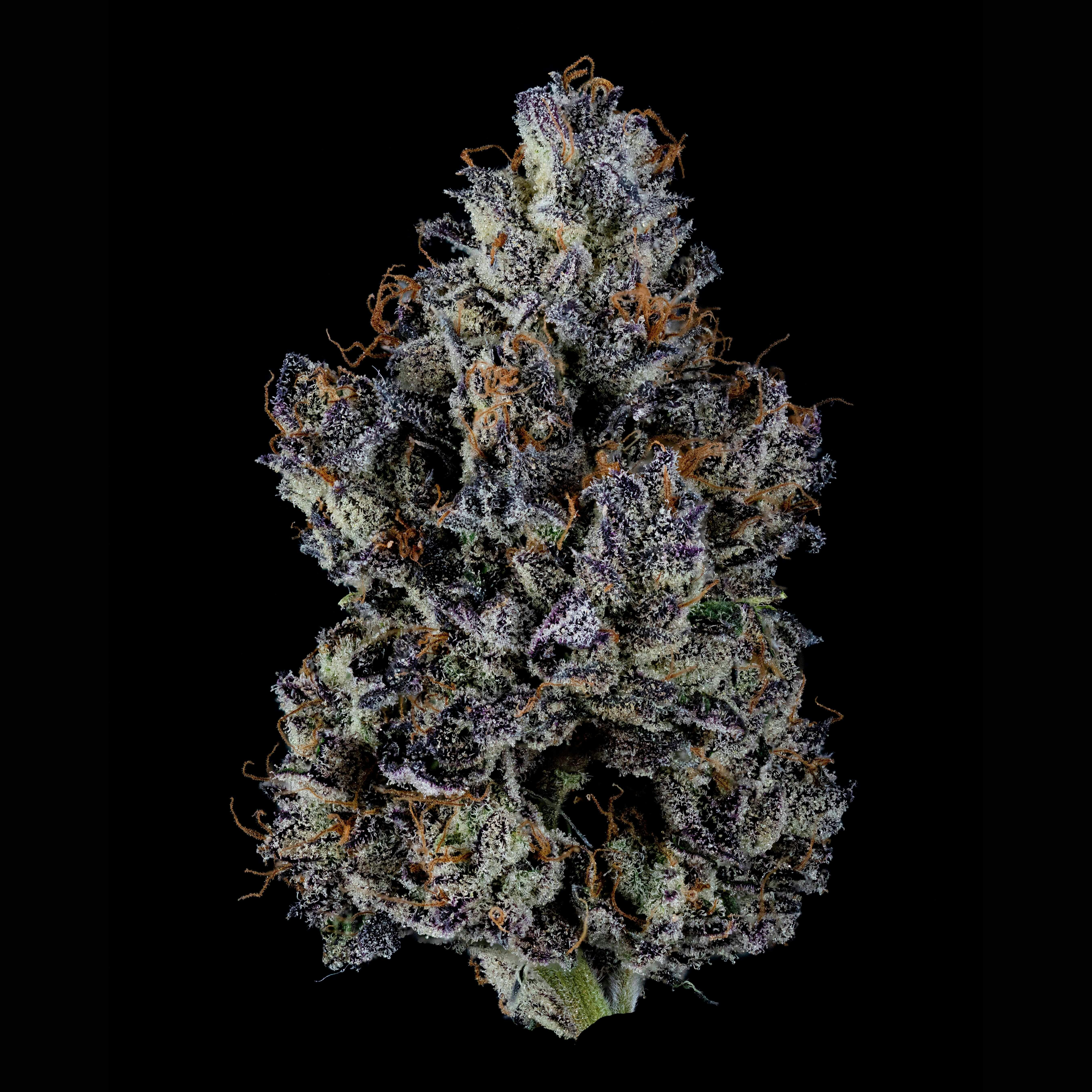 B's Trees Compound Z Flower Weedmaps