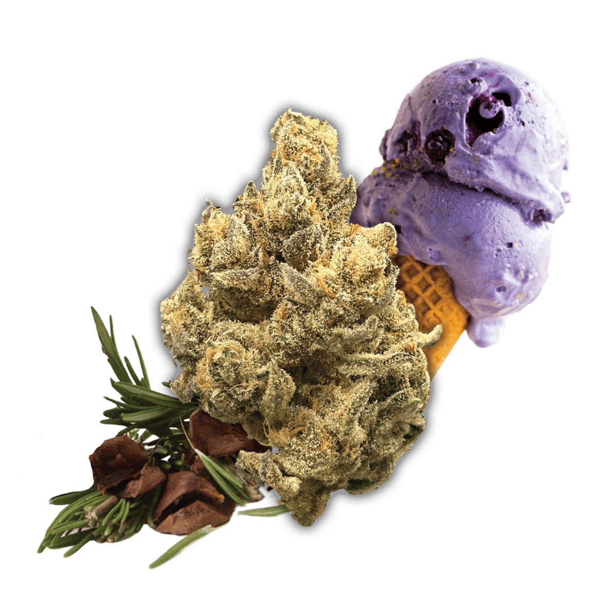 Gelato 41 - 3.5g Premium Flower - Black Label
