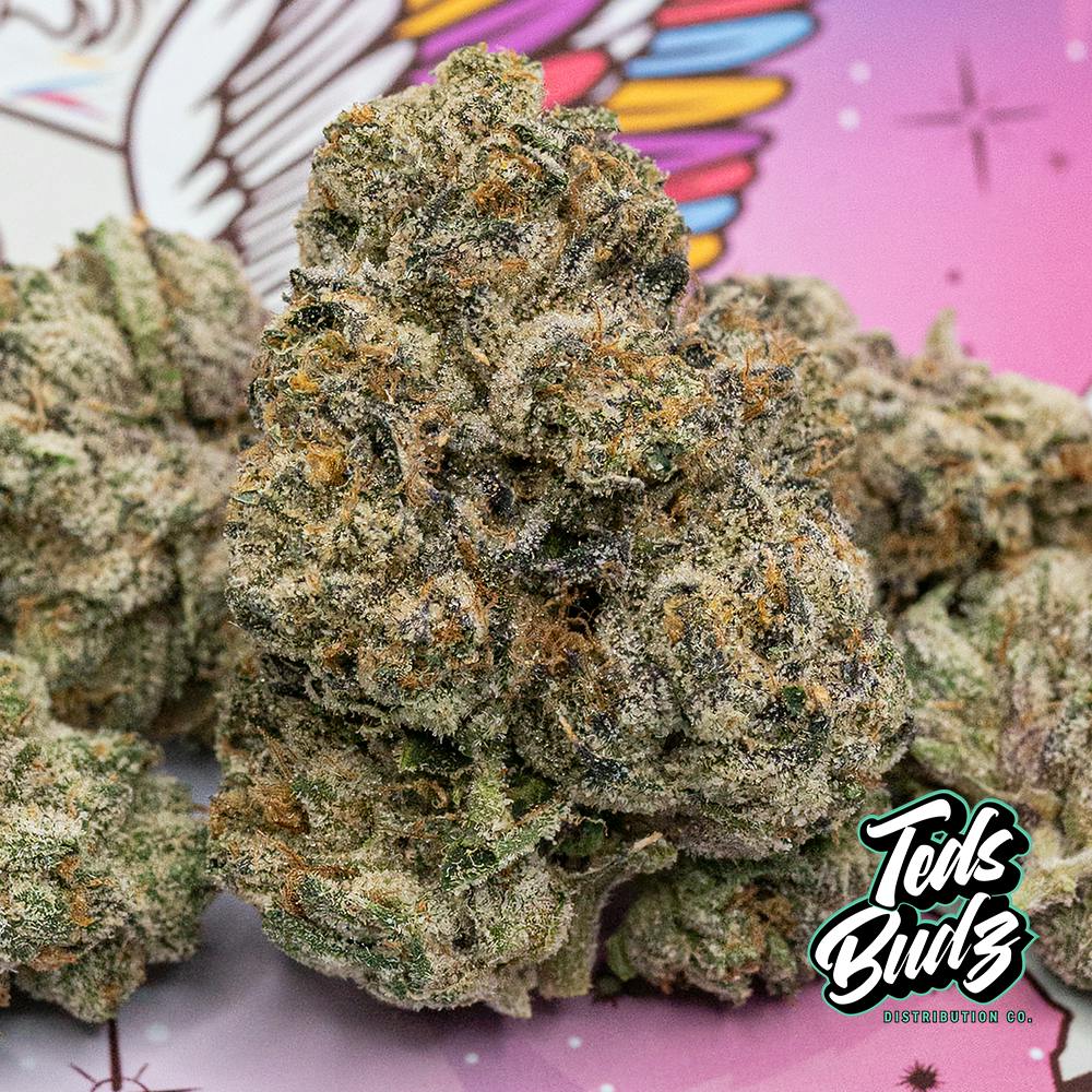 Pegasus Poop TEDS BUDZ