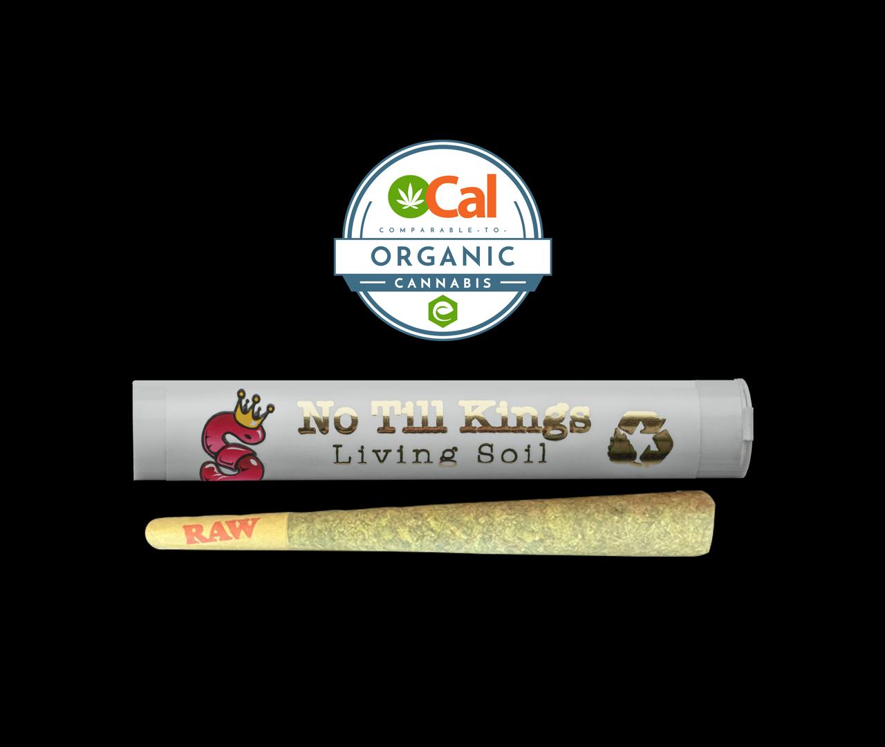 White Widow #11 Pre-Roll