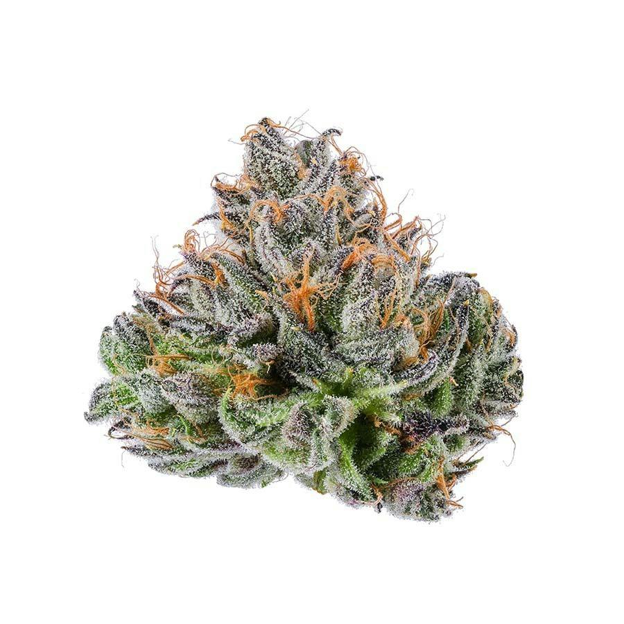 Blue Chip - Zkittlez - Purple Lotus