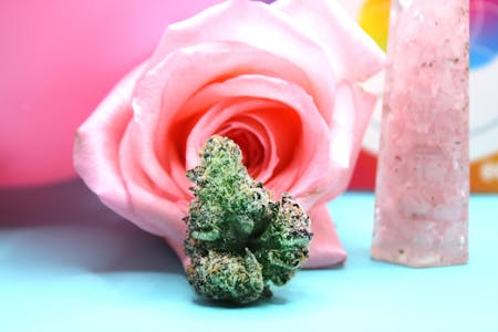 Trusty Transportations - Trusty - Emergen-C Indoor Flower 8th/3.5Grams(29%THC,HYBRID)