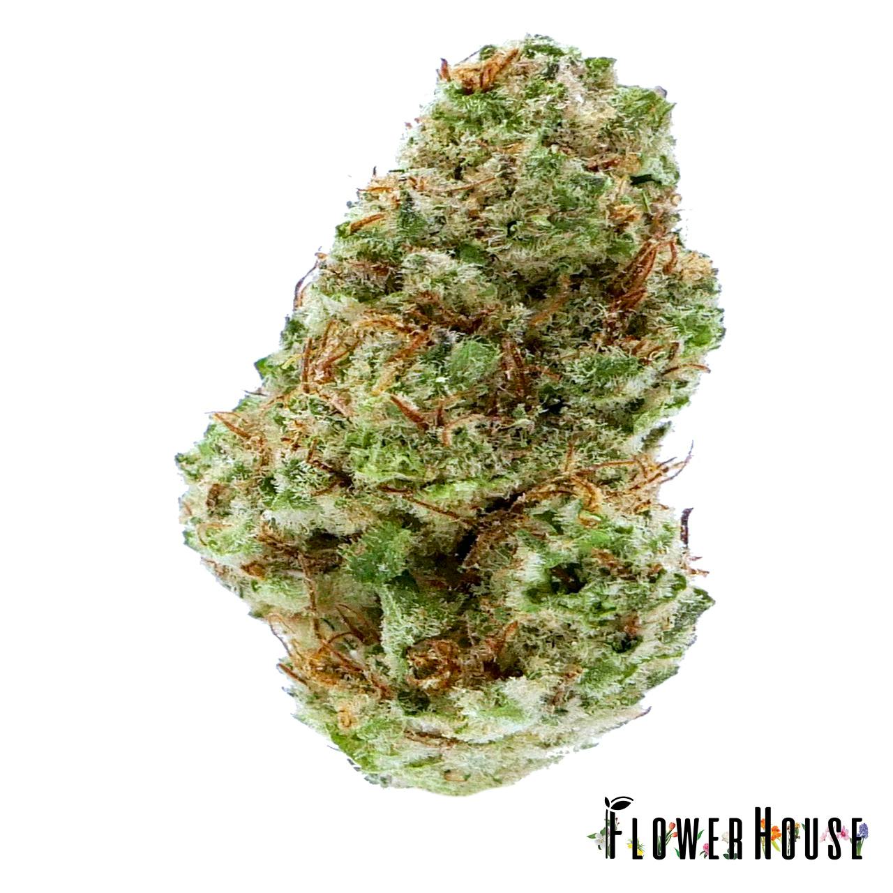 Humboldt Holy Weed 3.5g Premium Flower