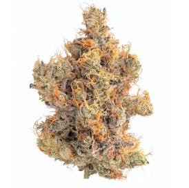Wonka Bars 3.5g