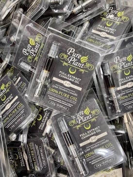 Pure Plant Mimosa FECO 1g Syringe