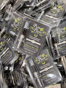 Pure Plant Cherry Banana Split FECO 1g Syringe