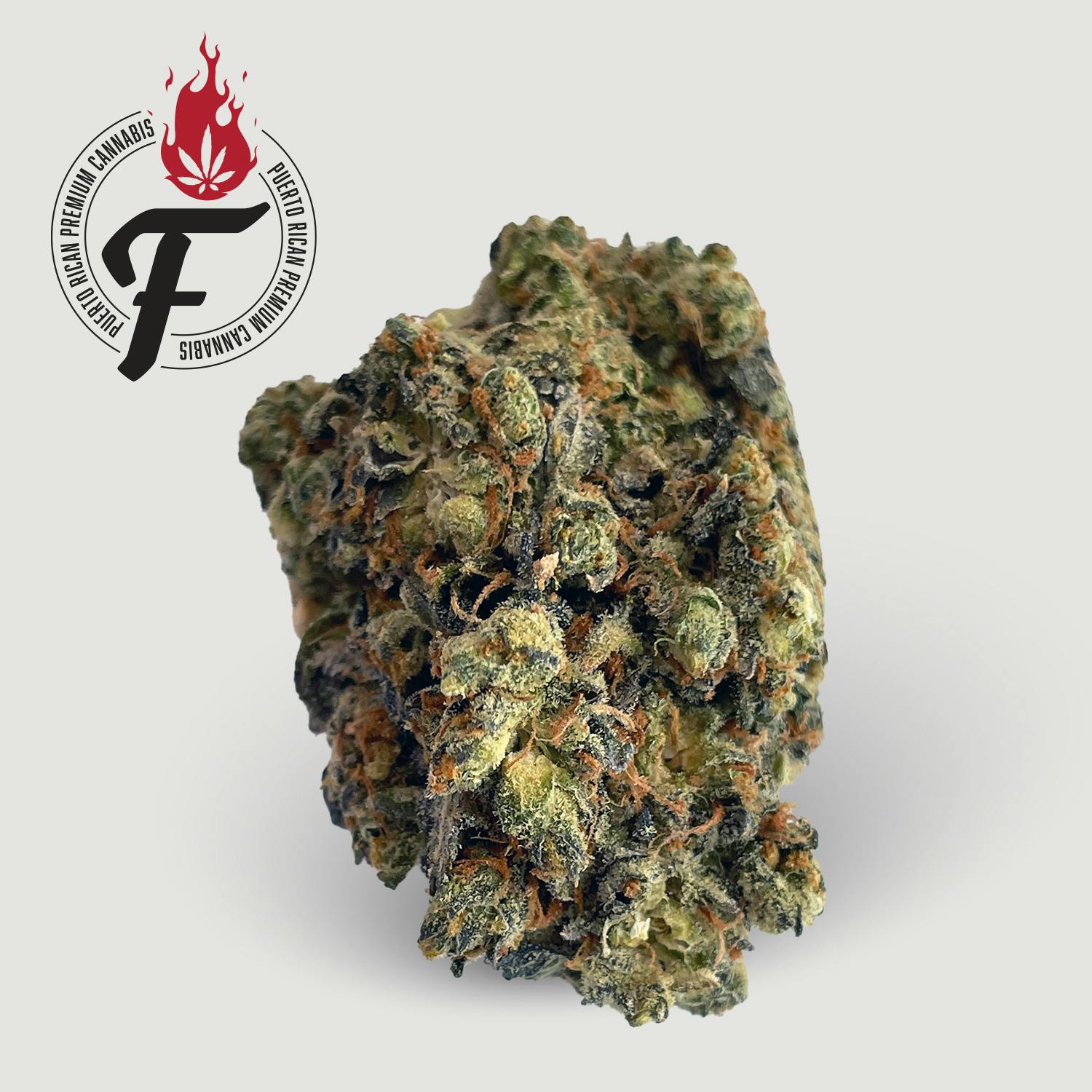 Cinderella Haze - Fuego