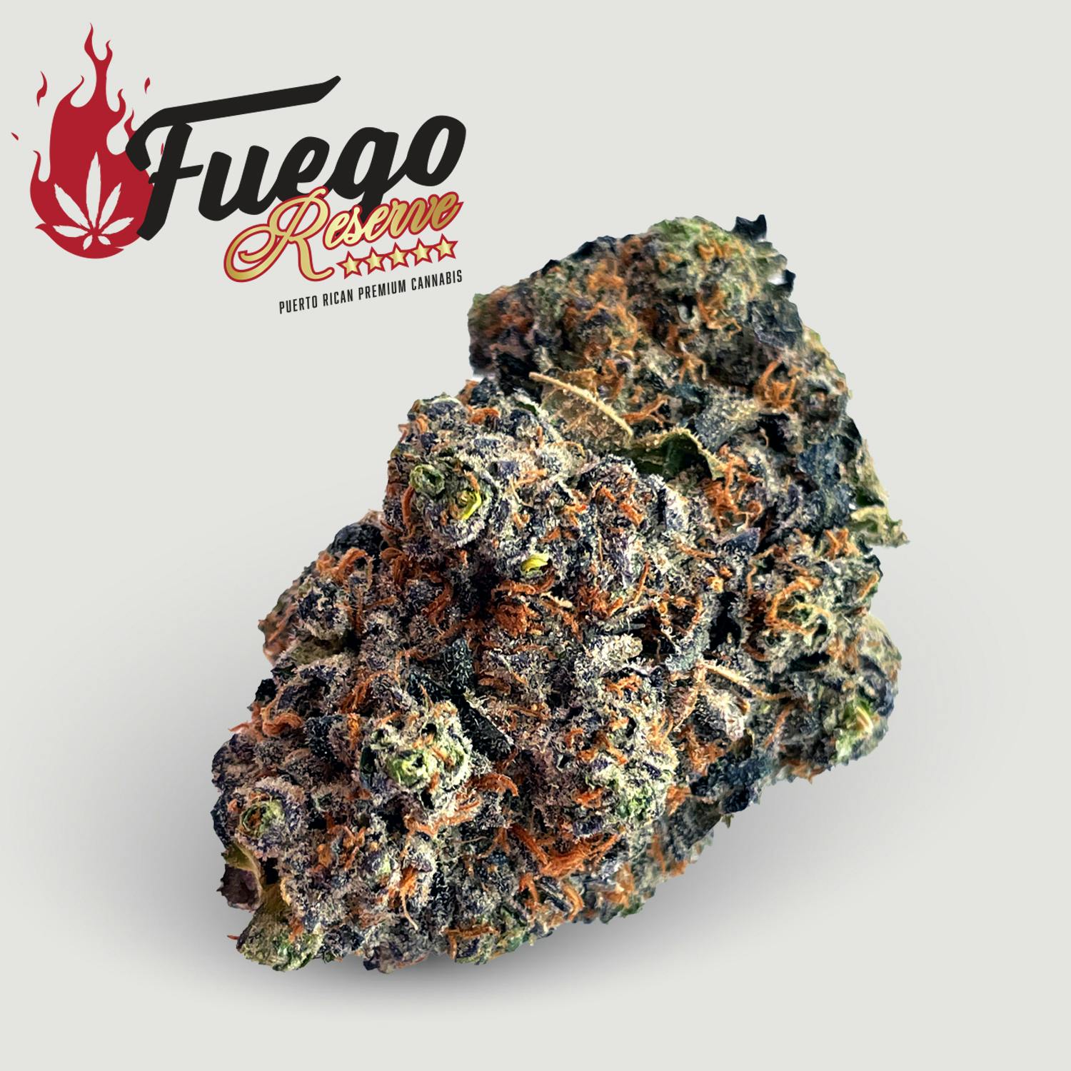 Bavarian Cream - Fuego