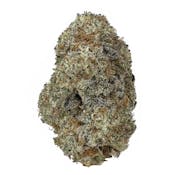 Paradise Flower - Frozen Lemonz (3.5g)