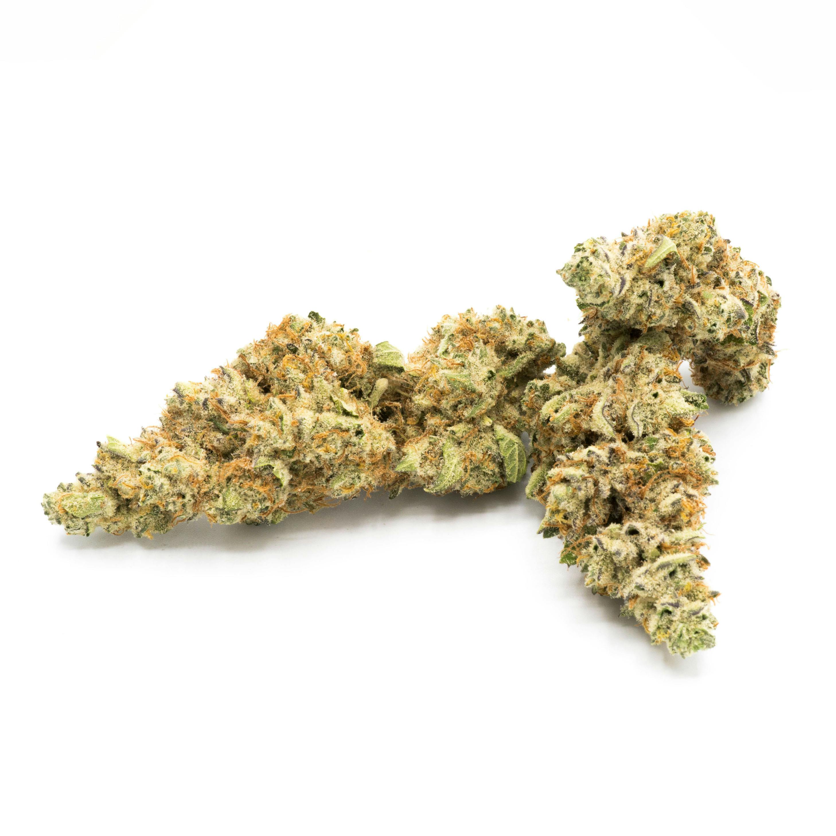 Hibernate 1g Flower by ILLICIT