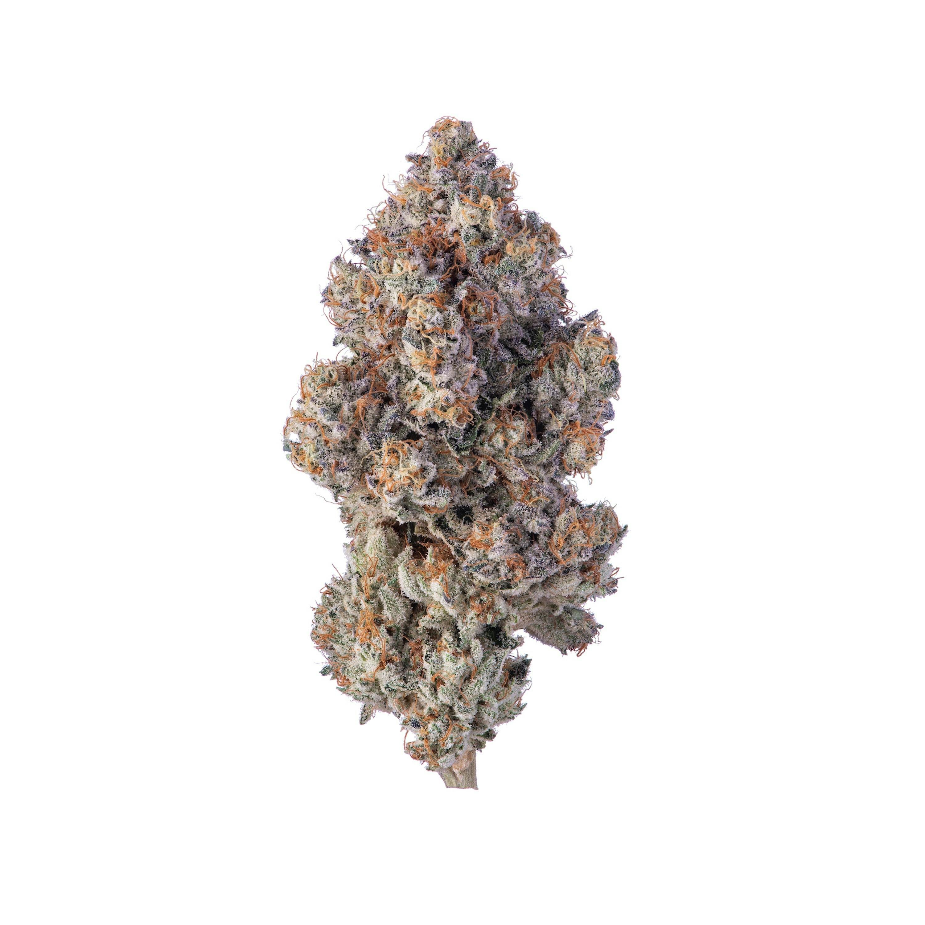 Violet Fog 1g Flower by ILLICIT