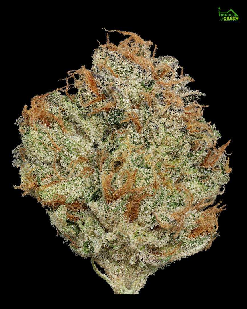 Birthday cAKe 1g Flower
