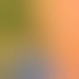 High Coast 1G 1:1 THC+CBD Cartridge - Blueberry (Indica)