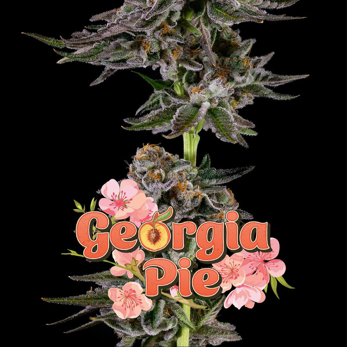 Great Northern Cannabis 1g Georgia Pie Pre-Roll (Indica) by Great Northern Cannabis