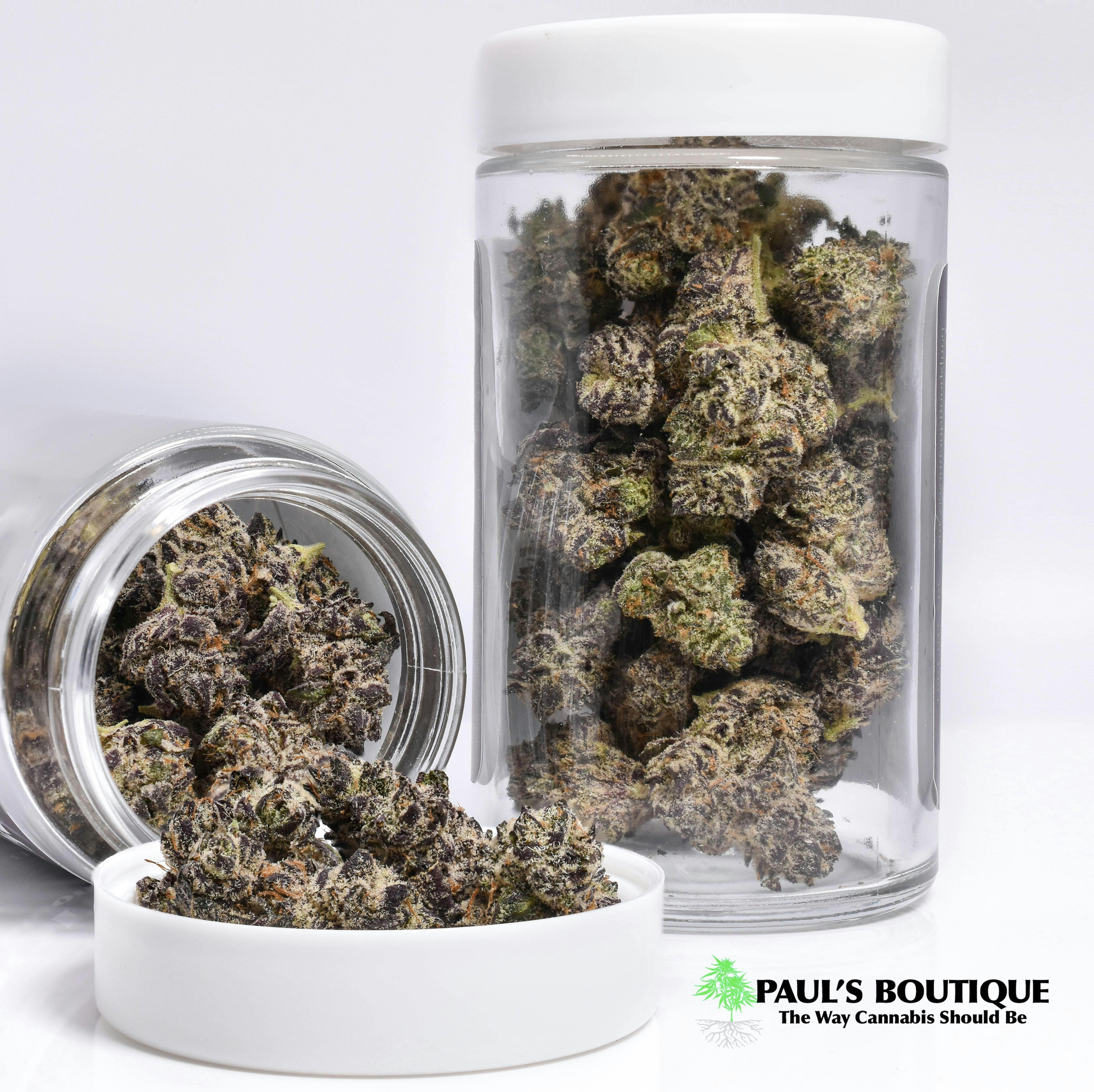 Garlic Cookies Little Buds by Paul's Boutique