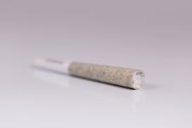 Tundra Berry 0.5 Gram Pre-Roll