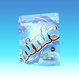 Traditional - Blue Donut Minis 5g