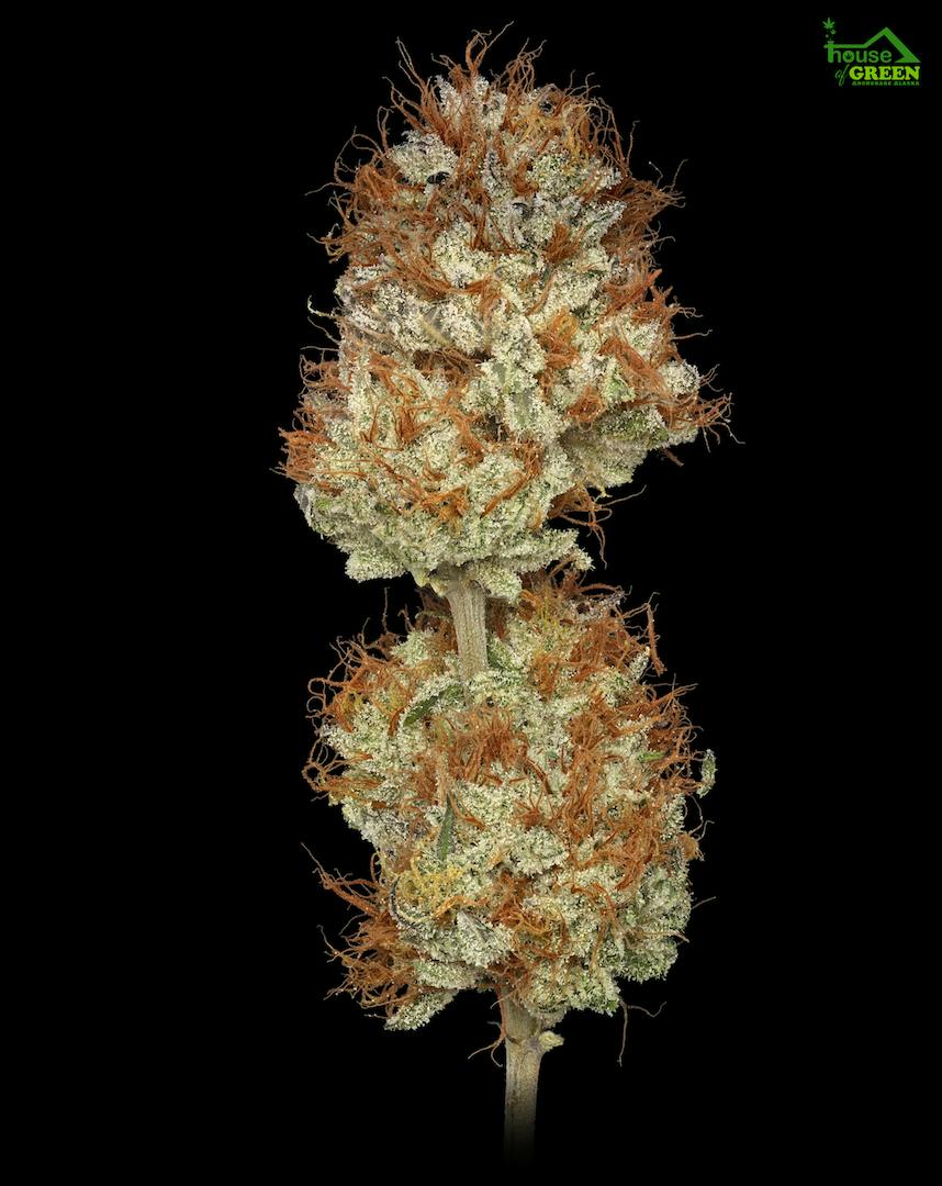 Willy's Wonca .5g - 2 Pack by BAM Alaska