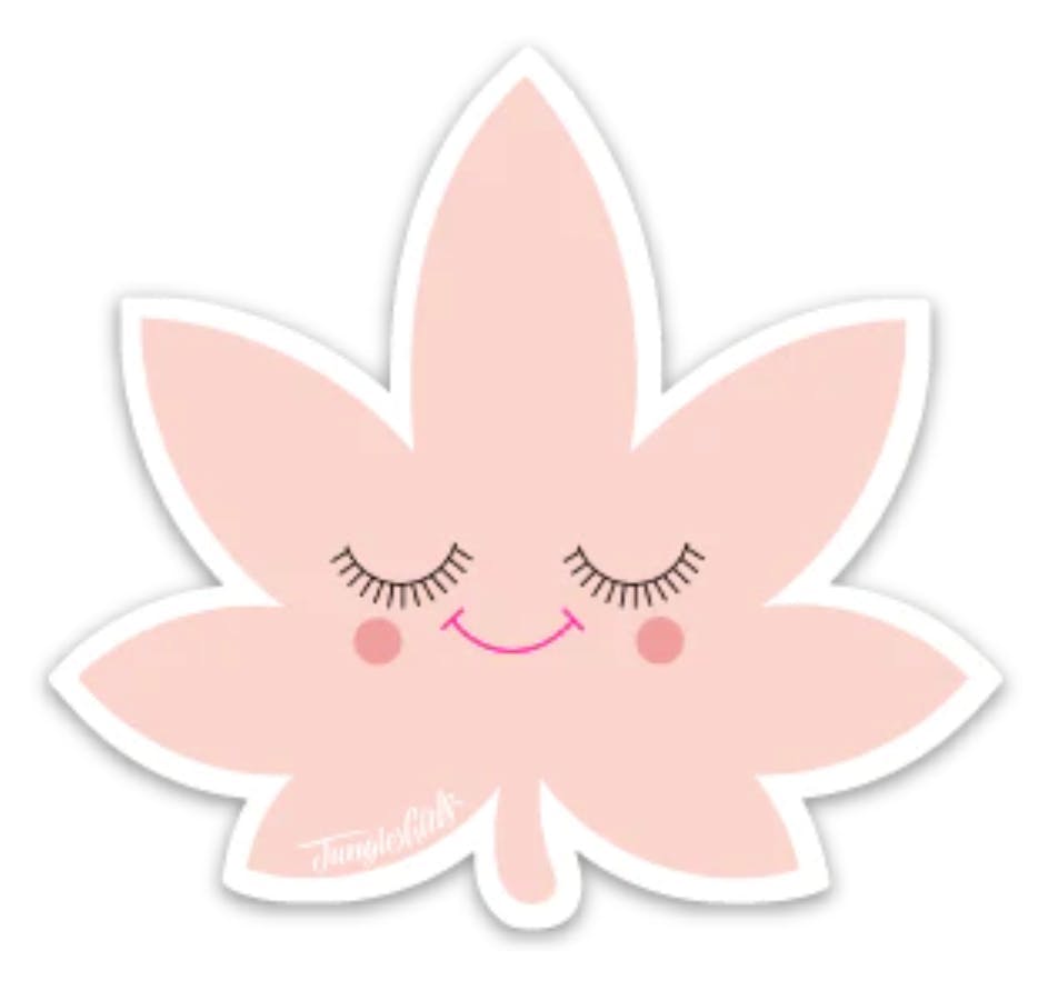 Jungle Boys Clothing | Happy Leaf Sticker (Pink)