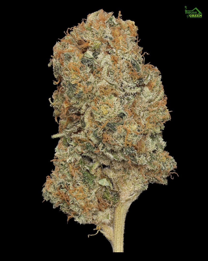 Opie Dopie 1g Flower by BAM Alaska