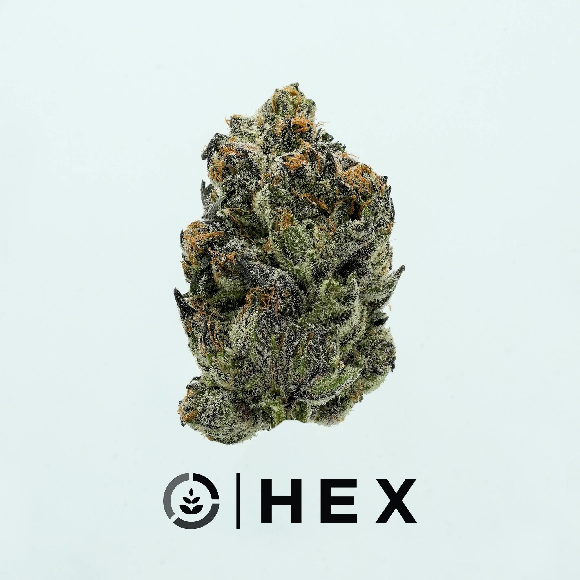 HEX: Lemon Cherry Gelato