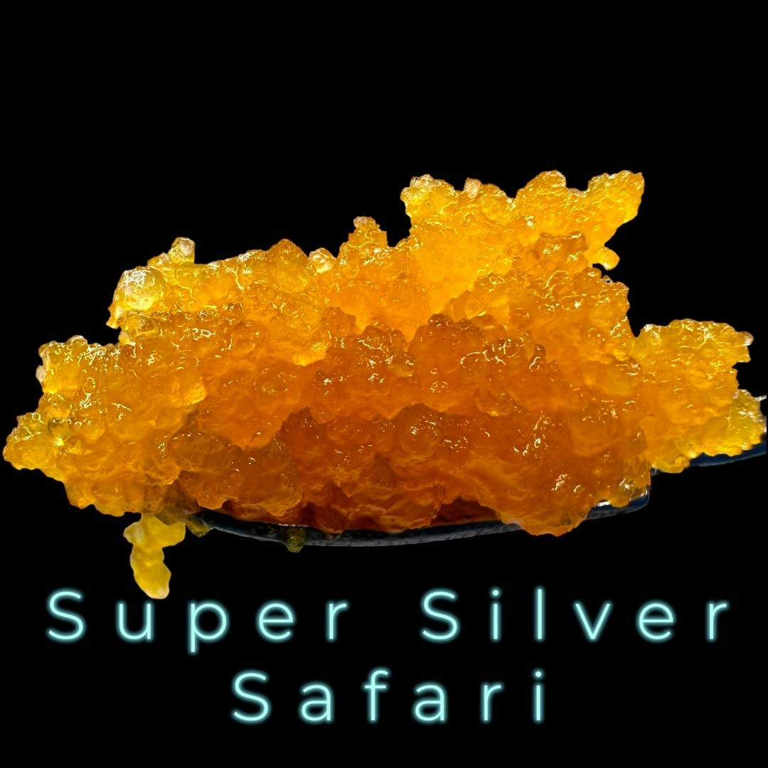 Silver Safari Live Wet Diamonds
