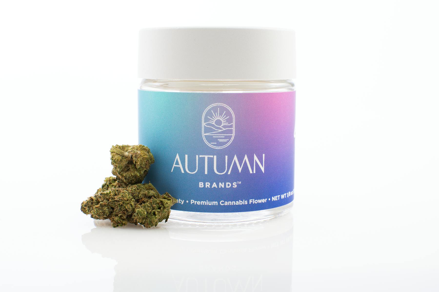 Autumn Brands — Purple Carbonite