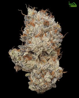 Kush Mints 3.5g Flower