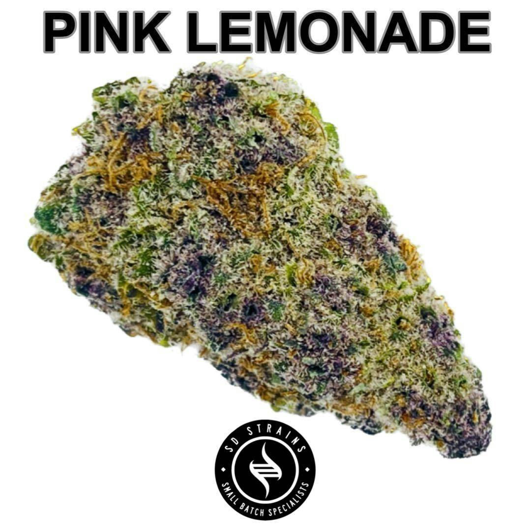 SD Strains Pink Lemonade 3.5g SD STRAINS