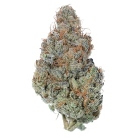 Peanut Butter Breath Flower