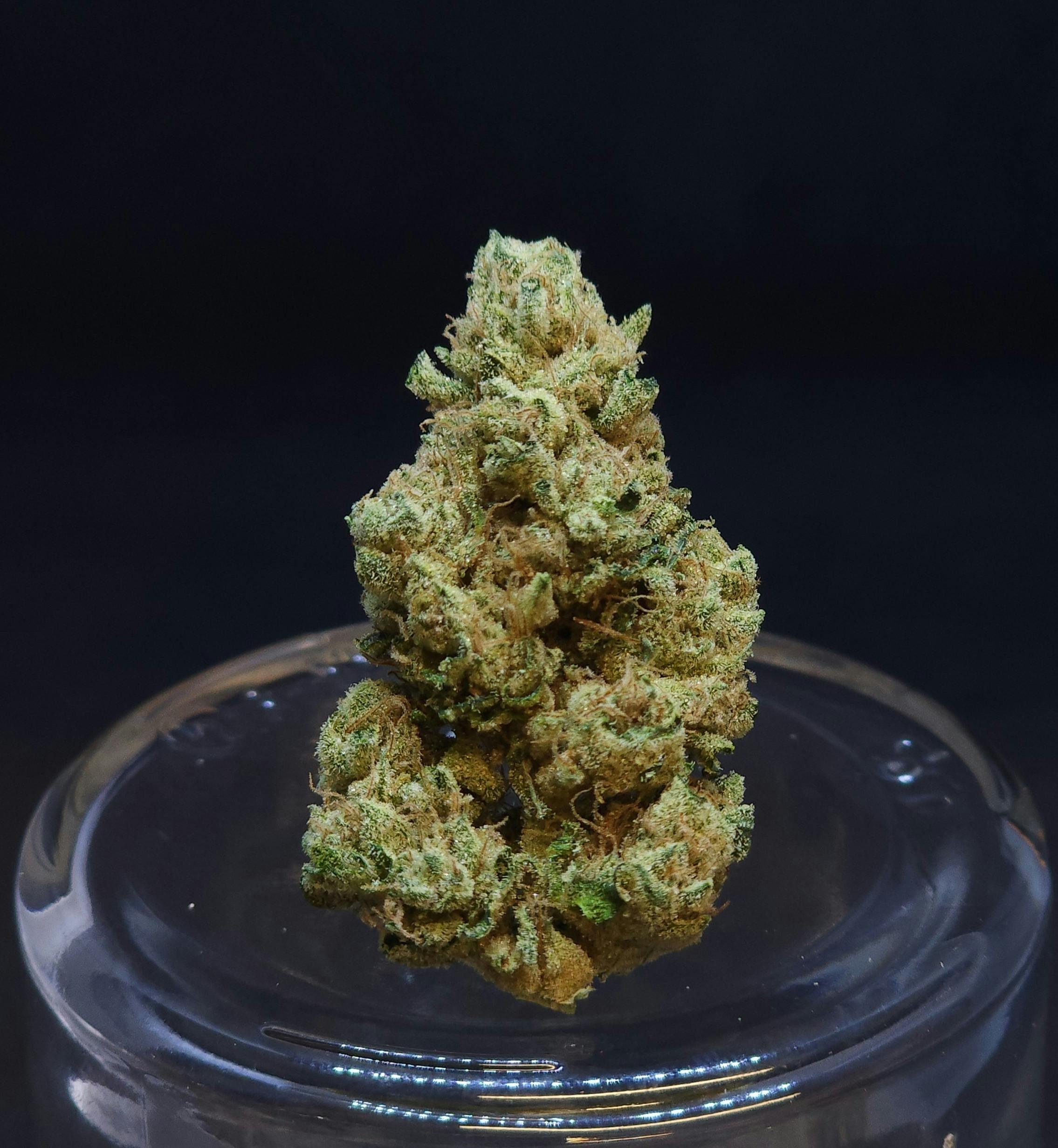 Phatso .5g Pre-Roll
