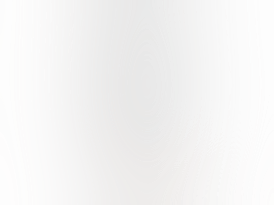 Punch - Stingers - The Z