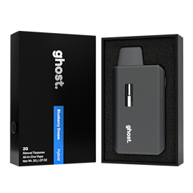 2g Blueberry Dream All-In-One Vape