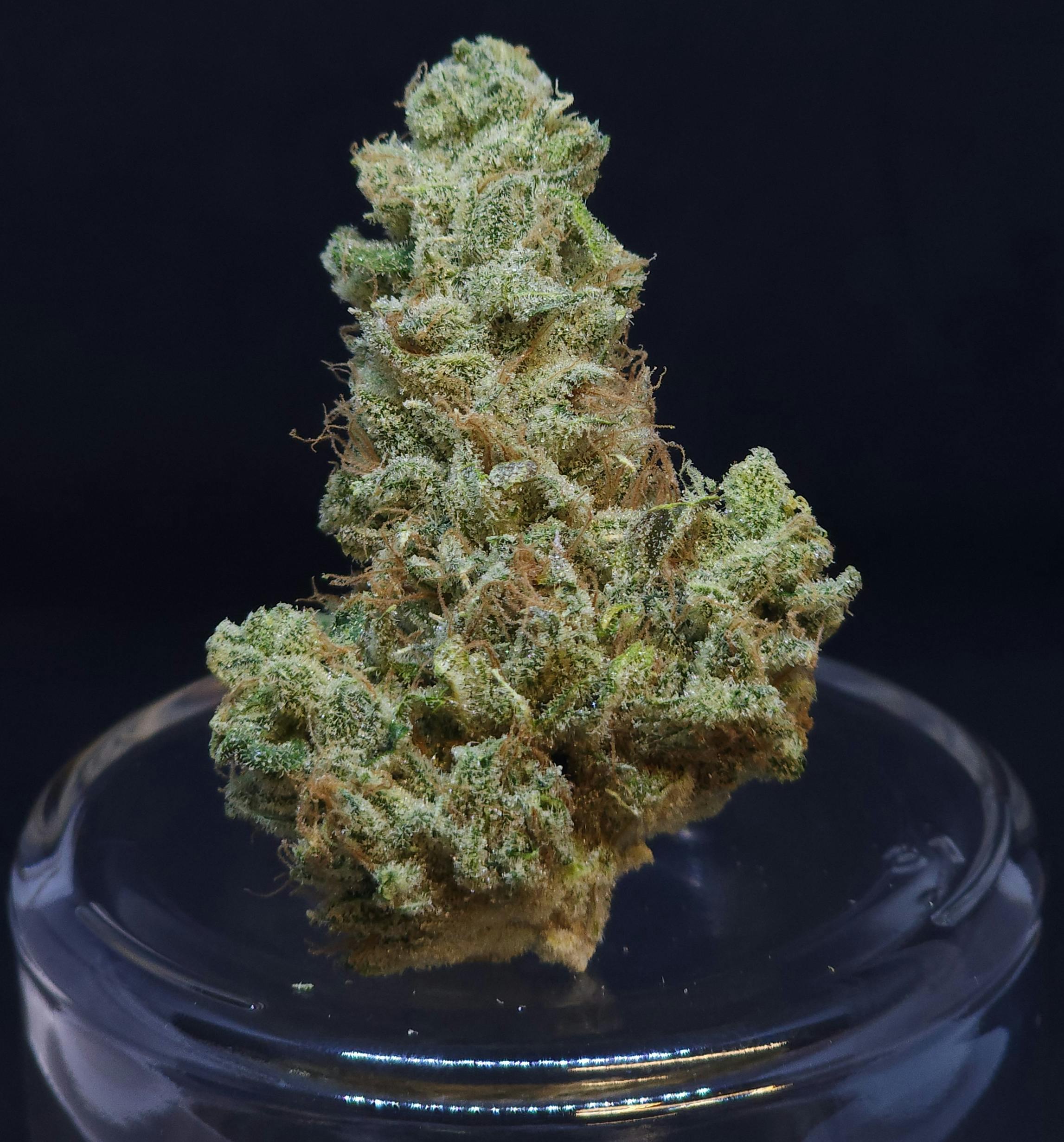 Scuba's KeyLime OG 3.5g Flower