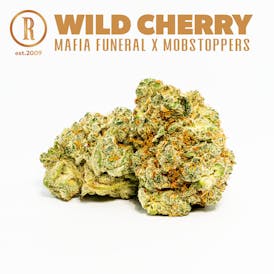 Wild Cherry Flower